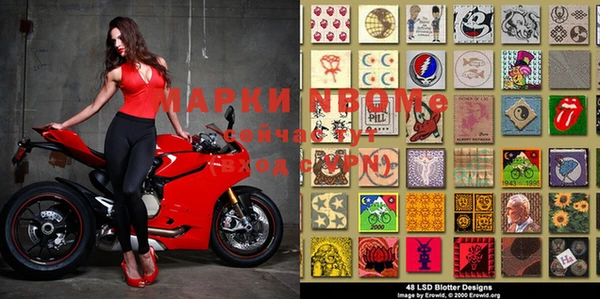 прущие грибы Сафоново