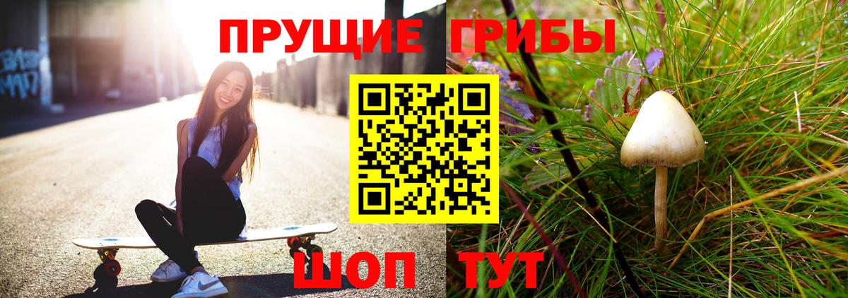 Заречный  Галлюциногенные грибы прущие грибы  Вход с VPN 