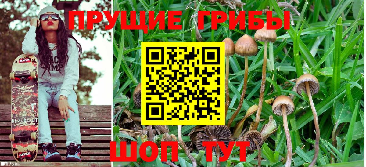 Псилоцибиновые грибы Magic Shrooms Заречный