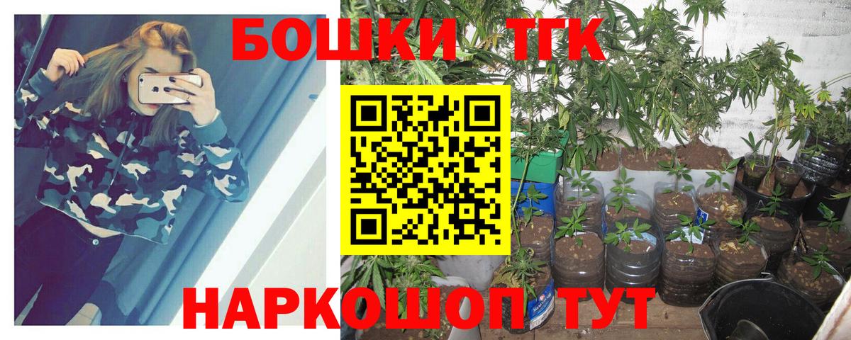 Бошки Шишки план Заречный